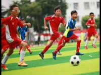 加拿大VS卡塔尔直播_加拿大VS卡塔尔免费高清直播_加拿大vs卡塔尔赛事录像央视CCTV5